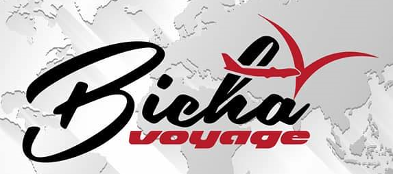 شعار الشركة